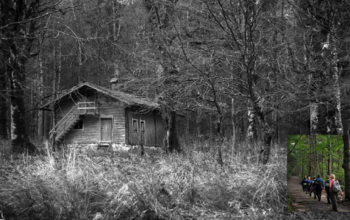 Exploring Trails Carolina Horror stories A Haunted History Healing
