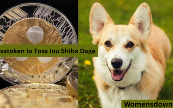 The Connection Tosatoken IO Tosa Inu Shiba Doge The Breed