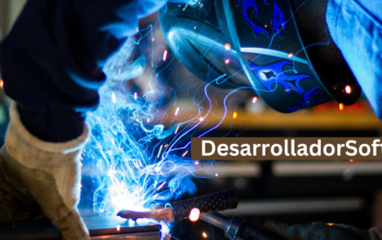 Developing High-Quality Software A Guide for DesarrolladorSoft
