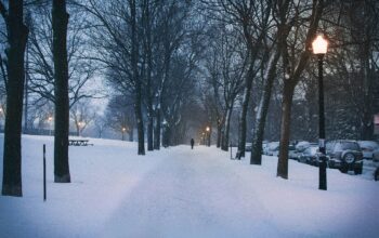 The Winter Wonderland Snow City Indore