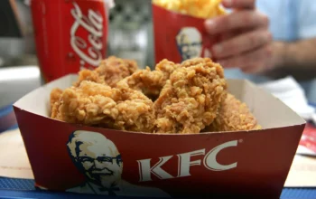 The Bizarre World Of KFC Fleshlight A Unique Fusion Of Fast Food