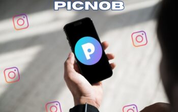 Discovering Picnob Your Ultimate Social Media Companion