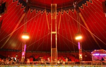Niles Garden Circus Tickets: A Complete Guide to an Unforgettable Experience